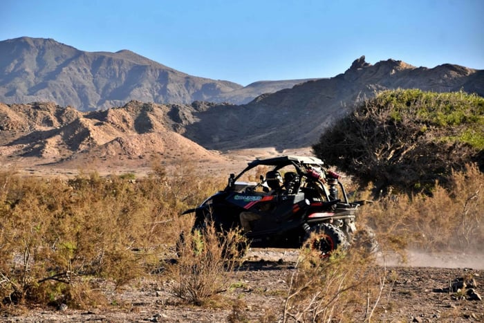 Boa Vista: Buggyäventyr i Death Valley 2 timmar