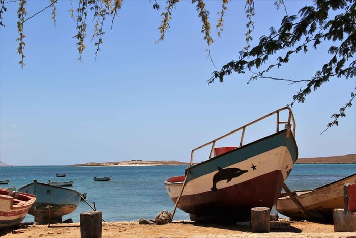 Boa Vista: Skibsvrag, Viana-ørkenen og Sal Rei-tur