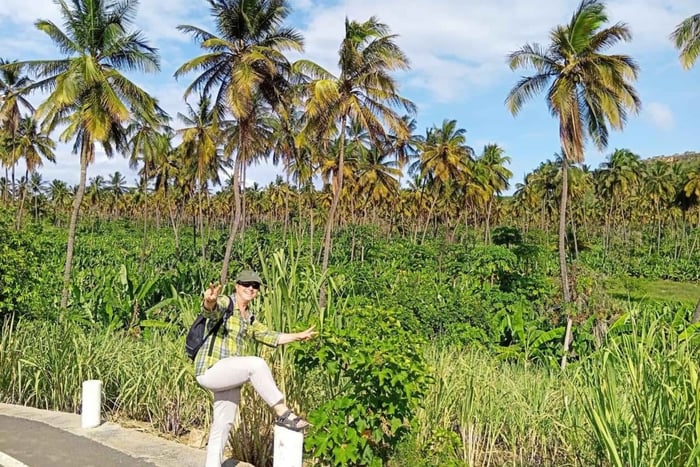 Praia : visite d'une plantation de bananes et de noix de coco, et dégustation de fruits