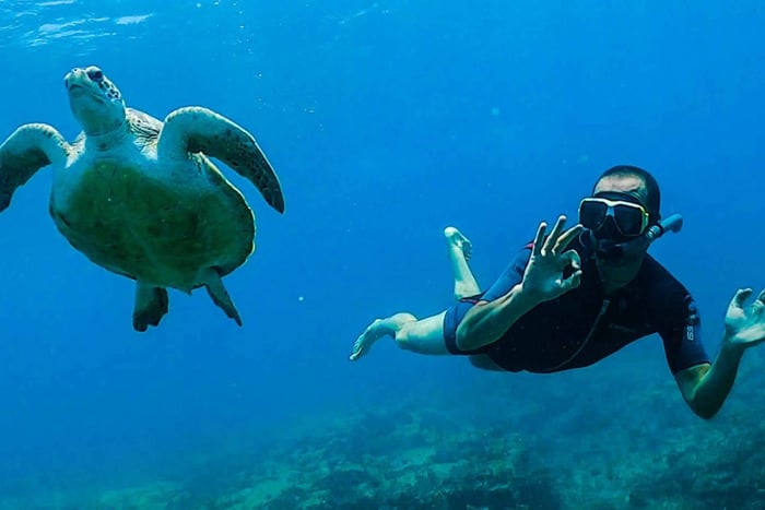 Santa Maria: Guided Snorkeling Shipwreck and Reef Tour