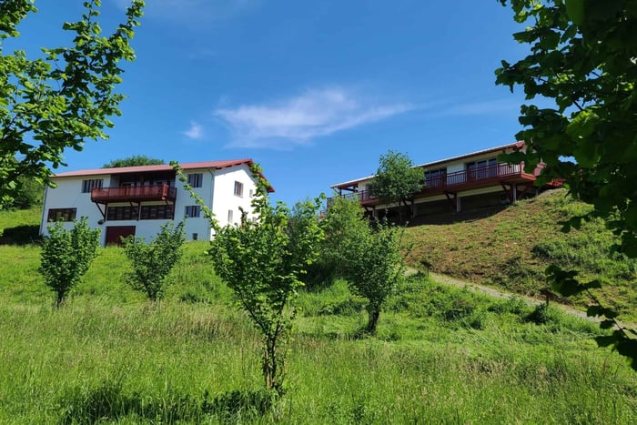 Basque Country: Visit and Tasting at the Errota La Noisette Basque Oil Mill