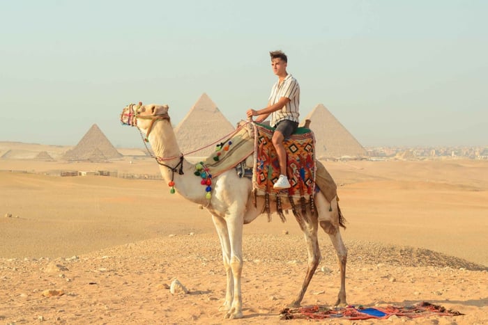 Le Caire : Balade à dos de chameau autour des Pyramides avec prise en charge à l'hôtel
