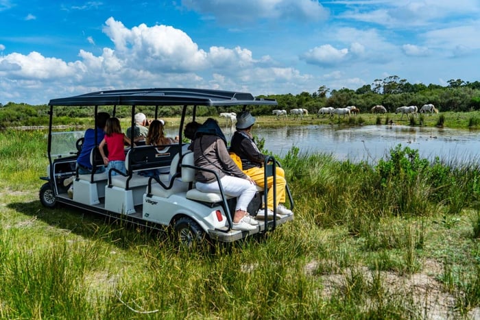 Camargue: Electric Safari - Reserve Wildlife and Horses