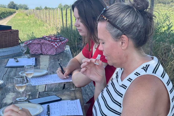 Camargue - Dag med rosa flamingos, vin och Aigues-Mortes