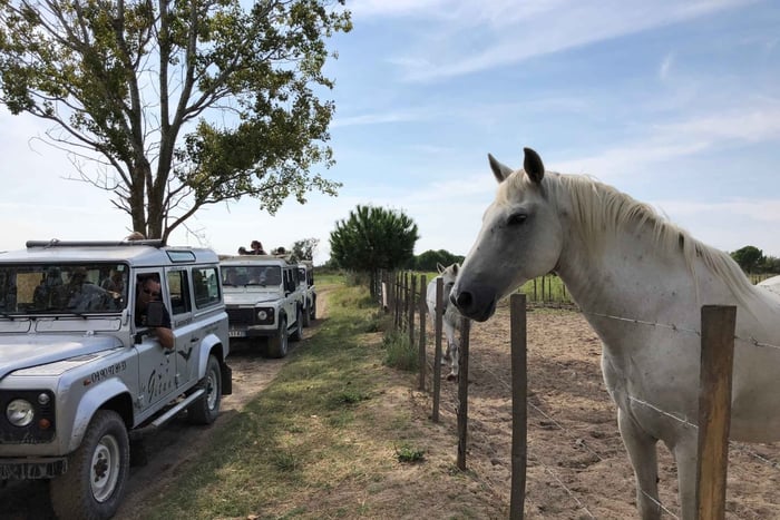 La Camarga: Safari desde Saintes-Maries-de-la-Mer