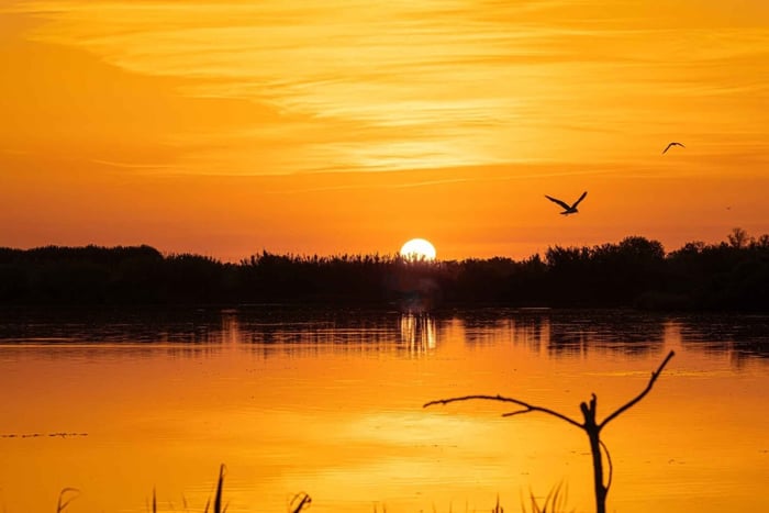 Camargue : spécial photographe lever/coucher du soleil chevaux et oiseaux