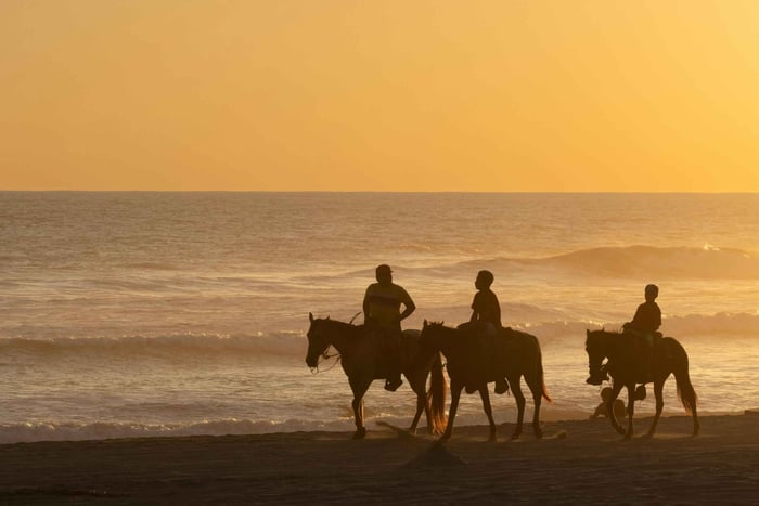 Camargue: Ridetur langs kysten i solnedgangen