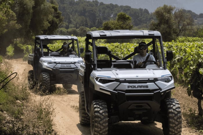 Cassis: Discover the AOC Cassis wineries by electric buggy, 1 hour & 2 hours
