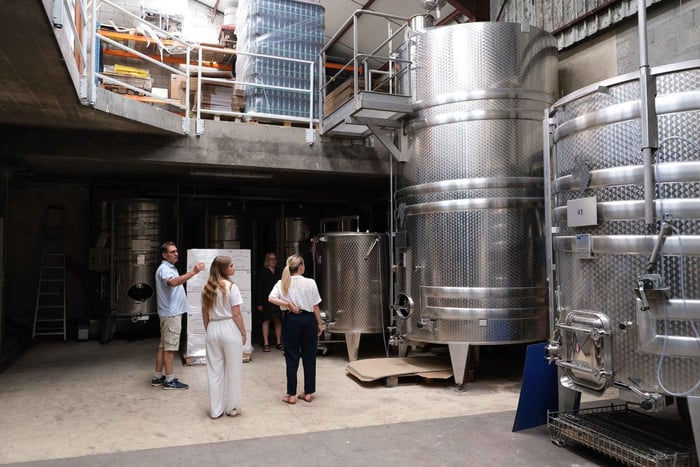Chablis: Visit and tasting at a family-run boutique winery