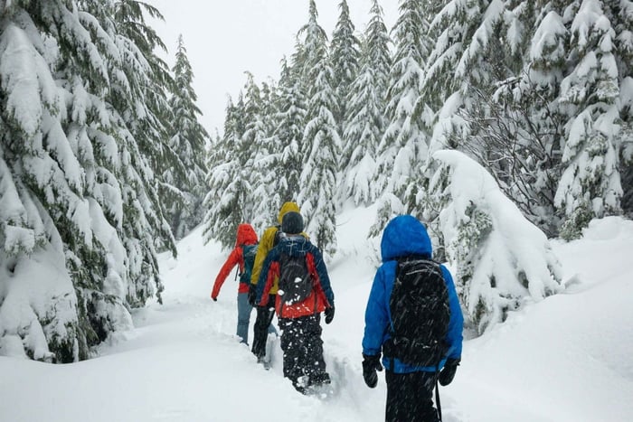 Chamonix: Snowshoe Walk Under the Stars with a Private Guide