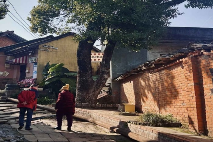 Chengdu: Muzeum Jinsha, domek Du Fu i wycieczka herbaciana