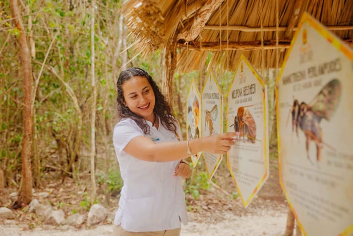 Cozumel: Generell inngang til Maya-biefredningsområdet