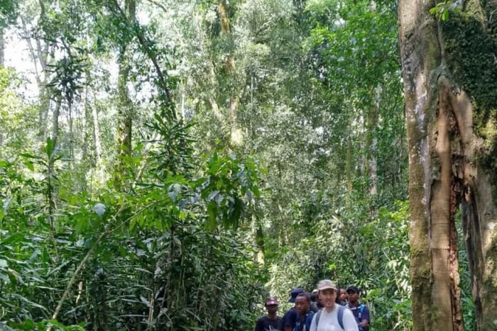 Tour di 1 giorno alla foresta pluviale di Kakamega da Kisumu
