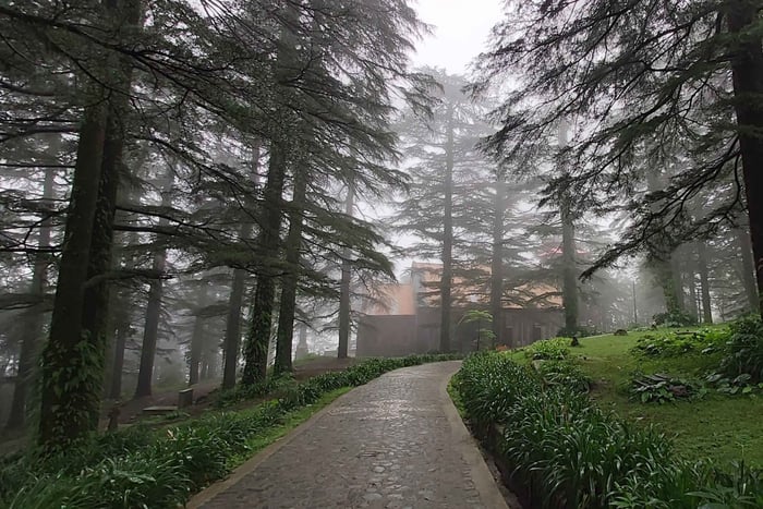 Dharamsala: tour por McLeod Ganj, monasterios y vistas panorámicas