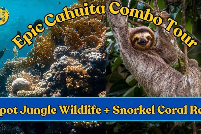 Epicka wycieczka łączona do Cahuita: snorkeling na rafach i wędrówka wśród dzikiej przyrody
