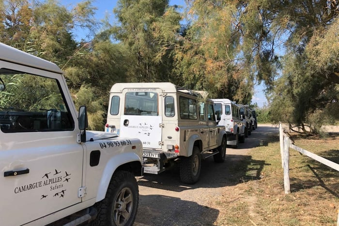 From Arles: Half-Day 4x4 Camargue Safari