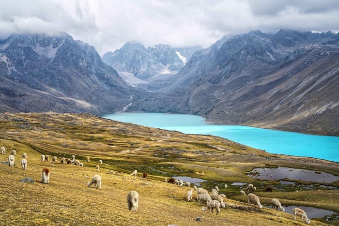 Desde Cuzco: tour por el lago Singrenacocha con aguas termales y almuerzo