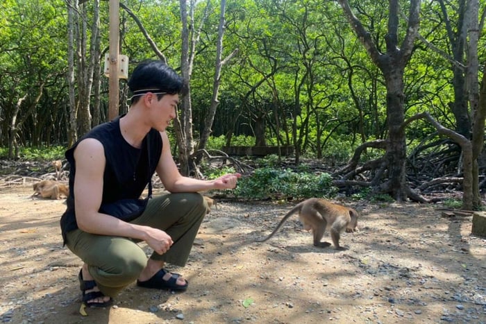 Desde Ciudad Ho Chi Minh: tour de 1 día a la isla de los monos de Can Gio