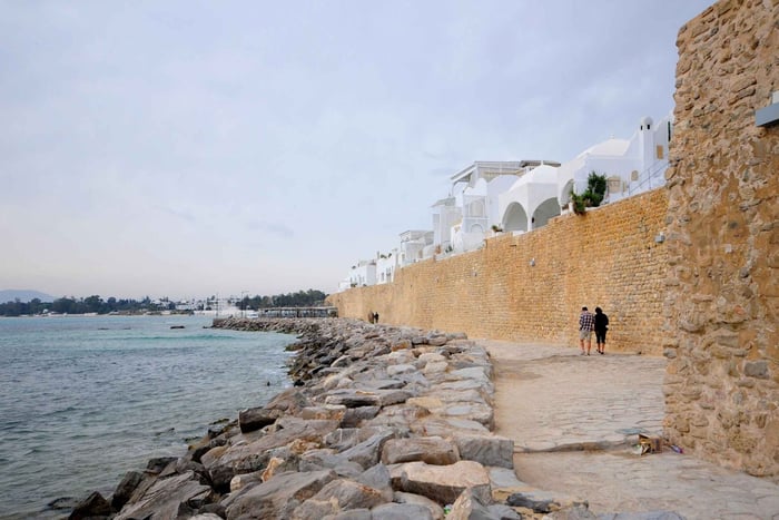 Desde Monastir y Susa: excursión de 1 día a Hammamet y Nabeul