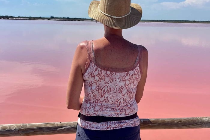 From Montpellier: Camargue and Salt Marshes Guided Tour