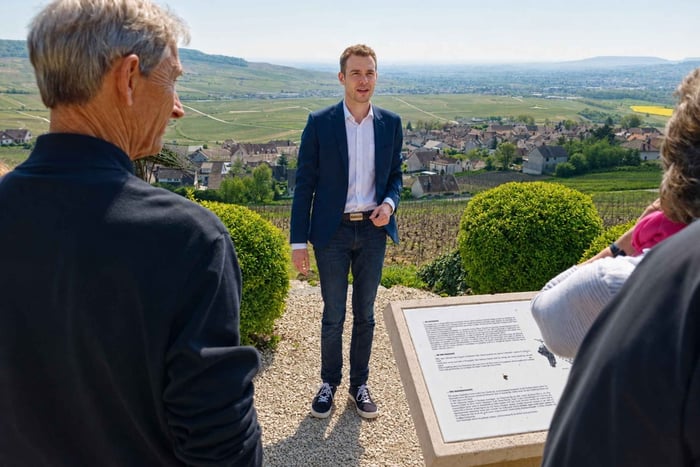 Vanuit Reims: champagnedagtour naar 3 familiedomeinen & lunch