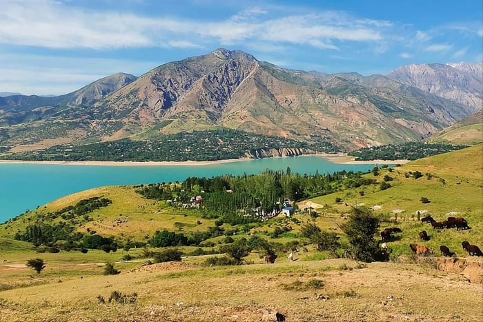 Z Samarkandy: wycieczka 1-dniowa w góry Urgut i nad jezioro Kamangaron