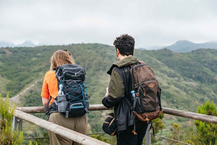Desde Tenerife Sur: Excursión de un día a la isla de La Gomera con almuerzo