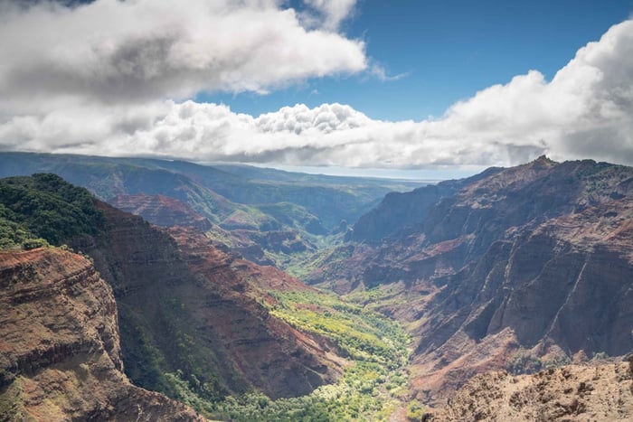 Kauai: Tour del Waimea Canyon e del Parco Statale di Koke'e
