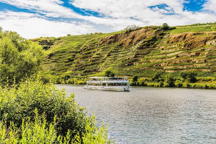 Koblenz: Panoramakryssning på floden Moselle till Winningen