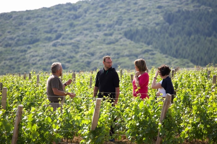 Mâconnais : visitez et dégustez les vins d'un domaine viticole authentique