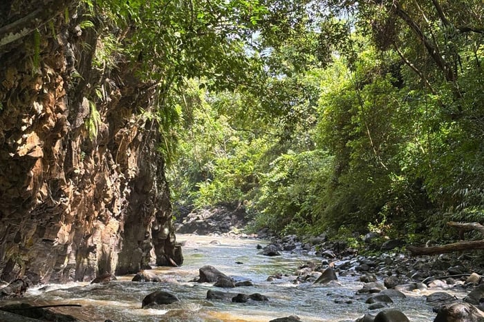 Mauritius: wandeltocht naar Chamouny-watervallen met lunch en ophaalservice