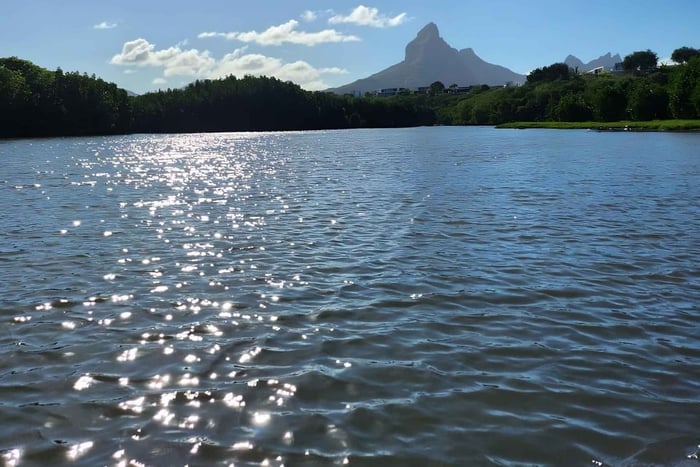 Mauritius: River Guided Kayak Tour with Monkeys