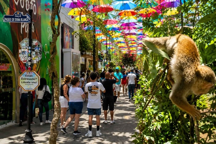 Monkey Sanctuary & Puerto Plata City Tour Combo