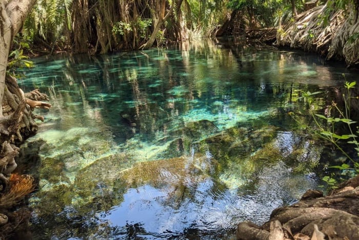 Moshi/Arusha kikuletwa Hot Springs Tour
