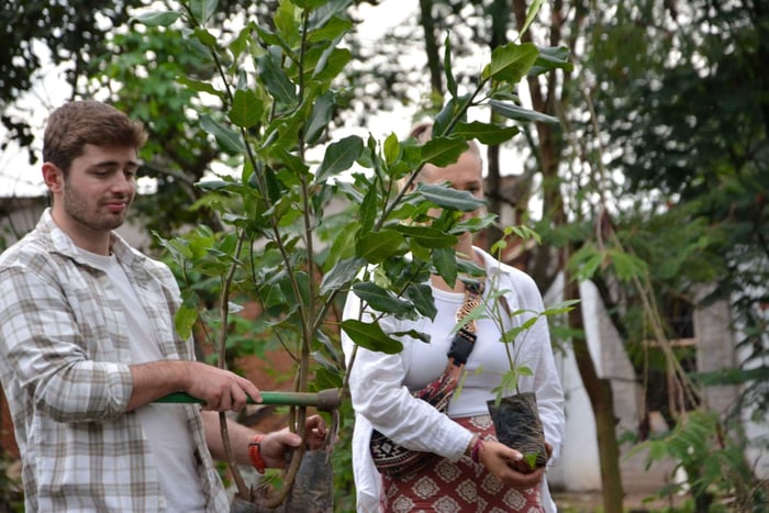 Musanze: Guided Herbal Medicine Discovery Walk