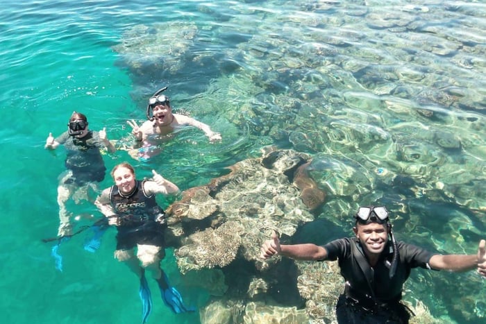 Nadi: Mamanuca Islands Snorkel, Turtle Sanctuary & Lunch