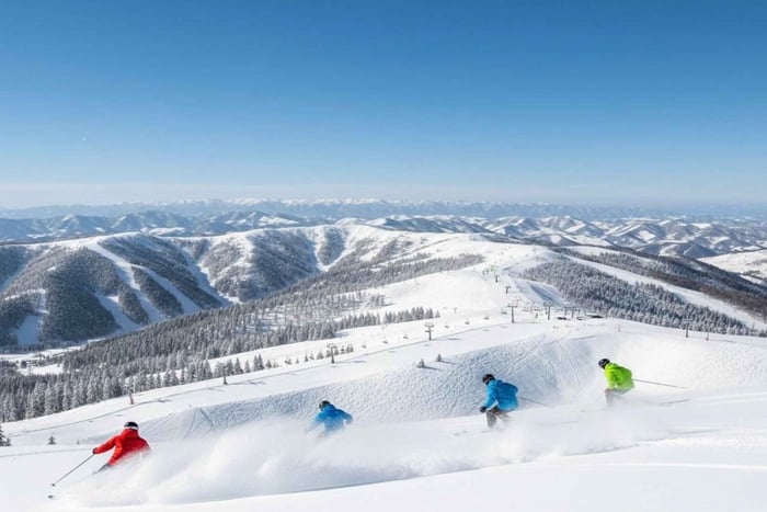Nagano: Dagstur til Snow Monkey Park og Shiga Kogen