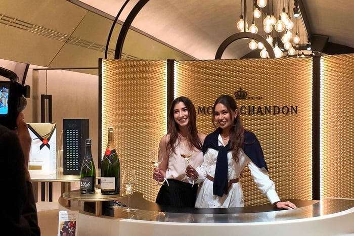 Reims: Moët & Chandon and Family-Run Winery Day Tour & Lunch