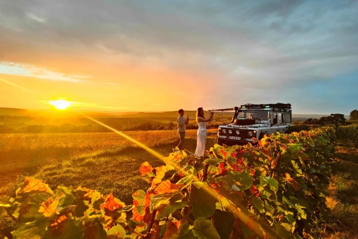 Reims: Sunset and champagne tasting in the vineyards