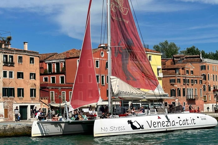 Venice: Lagoon Catamaran Cruise with Music and Drinks