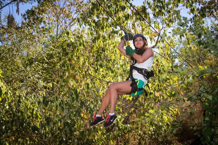 Victoria Falls: Canopy-tour