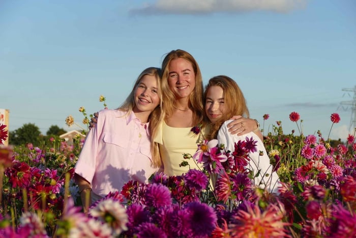 Voorhout: De Tulperij Dahlia and Sunflower Tour