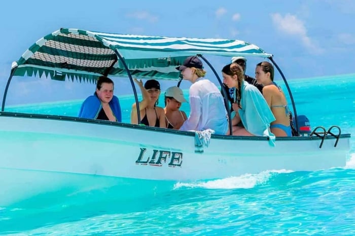 Zanzibar: Mnemba island, Jozani forest & Butterfly tour