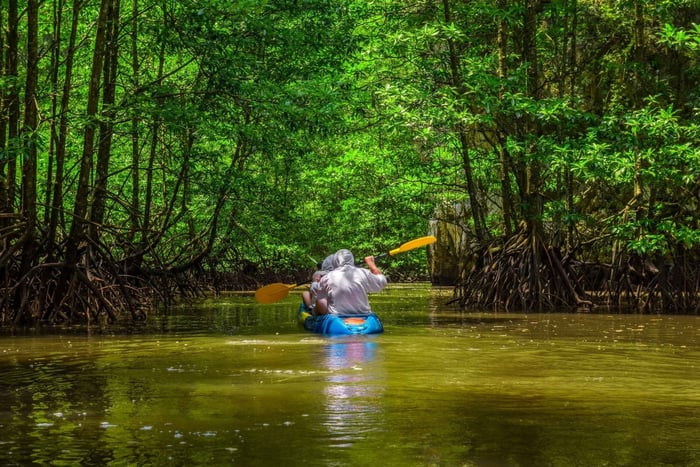 Depuis San José : Excursion de 3 jours dans le parc national de Tortuguero