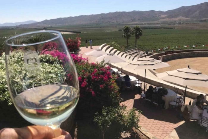Fra Tijuana: Valle de Guadalupe Privat vingårdstur