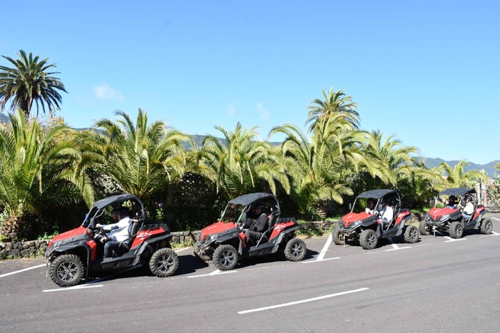 La Palma: Buggy-Abenteuer entlang der Vulkan-Küste (3 Std.)