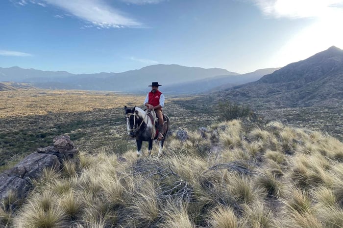 Mendoza: Horseback Riding in the Andes with Authentic BBQ