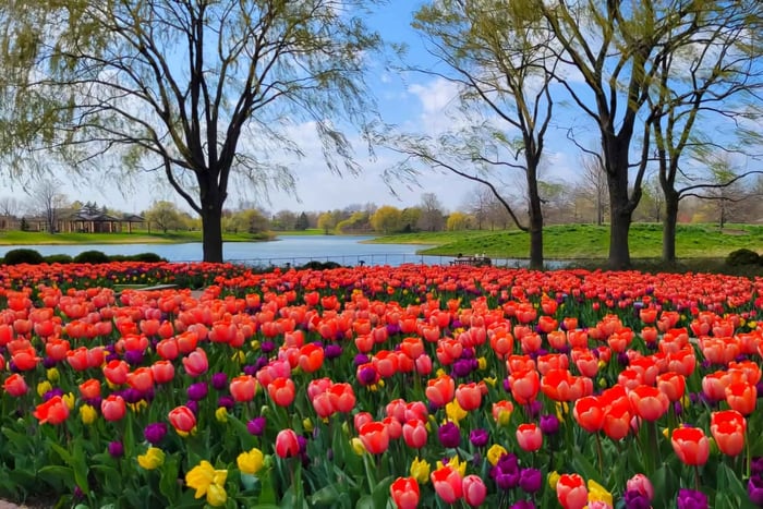 Chicago Suburbs Tour- The Hidden Gems