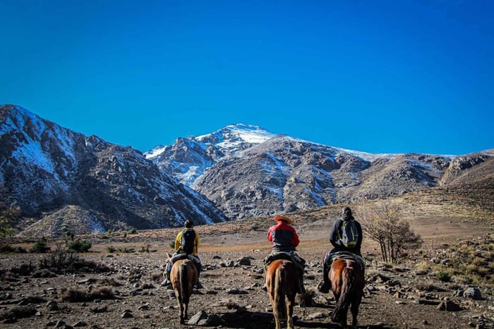 Cabalgata Andina: Cabalgata por la Cordillera de los Andes