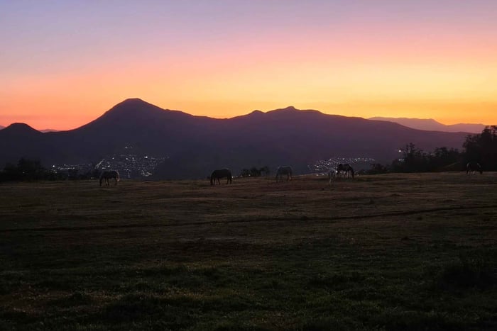 Andes Horseback Riding, Paragliding, and Outdoor Lunch